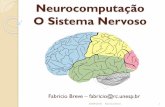Neurocomputação - O Sistema Nervoso - Fabricio Breve · Inspiração mais vaga no sistema nervoso e sistema desenvolvido com ênfase na capacidade de resolver problemas ... sistemas
