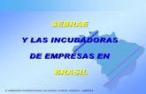 SEBRAE Y LAS INCUBADORAS DE EMPRESAS EN BRASIL - … Seminario Chile/G - BrasilDosSantos... · sebrae y las incubadoras de empresas en brasil vi seminÁrio internacional de paises