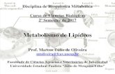 Metabolismo de Lipídeos - UNESP: Câmpus de Jaboticabal · Disciplina de Bioquímica Metabólica Curso de Ciências Biológicas 2º Semestre de 2017 Metabolismo de Lipídeos Prof.