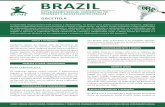 BRAZIL - ecpat.org · Criança e do Adolescente (ECA), Lei Nº 8.069, aprovada em 13 de julho de 1990. ... políticas conforme o disposto no Plano Decenal dos Direitos Humanos de