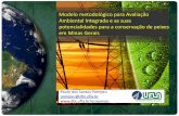 Modelo metodológico para Avaliação Ambiental Integrada ... · hidrelétrica em Minas Gerais com sustentabilidade ... X mínimo de efeitos negativos ... • Risco de Desestruturação