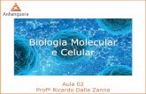 Biologia Molecular e Celular · Teoria celular oTodo ser vivo é ... Os ribossomos são também responsáveis pela respiração celular. Exercícios Exercícios adicionais 3. ...