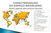 Brasil: gigante pela própria natureza - acessoeducar.com.bracessoeducar.com.br/materias/geografia/revisaomodulo1e2.pdf · III As bacias hidrográficas do Nordeste são:bacia do São