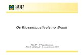 Os Biocombustíveis no BrasilOs Biocombustíveis no Brasil - ANP - RELOP 2010 Gallo ANP.pdf · Formulação e implementação das políticas para o setor de petróleo, gás natural