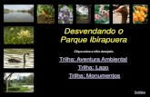 Desvendando o Parque Ibirapuera - Prefeitura · ele chegou ao seu nível máximo de meditação. VOLTAR. Falsa Seringueira e Serrapilheira Árvore originária da Malásia apresenta