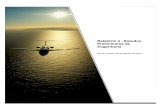 Relatório 4 - Estudos Preliminares de Engenharia · CELP Consultoria Técnico Comercial Ltda. ÍNDICE DE QUADROS Quadro 1 – Movimento Anual de Passageiros (EMB + DES ...