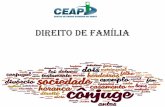 DIREITO DE FAMÍLIA - ceap.br · O DIREITO DE FAMÍLIA consiste na área do direito civil que cuida de disciplinar as relações interpessoais nascidas de um vínculo afetivo , que