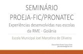 Apresentação do PowerPoint - forumeja.org.brforumeja.org.br/go/sites/forumeja.org.br.go/files/slides formacao... · parte da natureza da prática docente a indagação, a busca,
