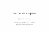 Gestão de Projetos - cin.ufpe.brif717/slides/conceitos-basicos.pdf · • Procura manter a equipe de projeto focada na meta do projeto. • Supervisiona , delega , motiva e gerencia