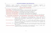 ANAATTOMIIAA MHHUUMAANNAA - …files.alanfisio.webnode.com.br/200000218-5159e5253d/Generalidades.pdf · acordo com o tipo de tecido e as características próprias das articulações.