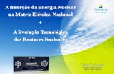 A Inserção da Energia Nuclear na Matriz Elétrica Nacional ...sencir.nuclear.ufmg.br/ii-sencir/assets/palestra4-08.pdf · Atual Parque Gerador Nuclear no Brasil . ... Equacionamento