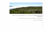 PLANO DE ORDENAMENTO E GESTÃO DA LAURISSILVA DA … · desenvolvido em 1996 pelo Serviço do Parque Natural da Madeira. Plano de Ordenamento e Gestão da Laurissilva da Madeira –
