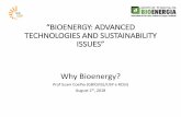 “BIOENERGY: ADVANCED TECHNOLOGIES AND … APRESENTAÇAO 01... · • A utilização de pellets como energia renovável para aquecimento residencial e na geração termoelétrica