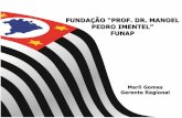 FUNDAÇÃO “PROF. DR. MANOEL PEDRO IMENTEL” FUNAP · Penitenciária Feminina de Santana (2 unidades): crochê e cartonagem com tecidos HCTP de Franco da Rocha: acessórios de