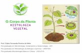 O Corpo da Planta HISTOLOGIA VEGETAL - blog.cpbedu.meblog.cpbedu.me/professoraelyka17/wp-content/uploads/sites/273/2018/...–Originam tecidos permanentes primários ... (periblema)