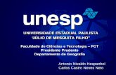 Faculdade de Ciências e Tecnologia FCT Presidente ... DO... · Perdigão para a criação da Brasil Foods, ... Crise atual (desregulamentação financeira – meados de 2007) e a