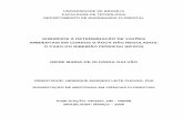 repositorio.unb.brrepositorio.unb.br/bitstream/10482/3104/1/2008_DeiseMariaDeOGalvao.pdf · ii UNIVERSIDADE DE BRASÍLIA FACULDADE DE TECNOLOGIA DEPARTAMENTO DE ENGENHARIA FLORESTAL