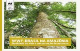 WWF-BRASIL NA AMAZÔNIA • QUALIDADE DE VIDA E …d3nehc6yl9qzo4.cloudfront.net/downloads/wwf_brochura_programa... · apoia as cadeias produtivas da castanha, copaíba, borracha,