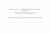 Teoria Geral da Administração - TGA · X Teoria Geral da Administração – TGA – A Antropologia Empresarial e Problemática Ambiental em trabalhos de diagnóstico, planejamento