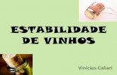 ESTABILIDADE DE VINHOS - Sem-títuloroneiandre.dominiotemporario.com/doc/estabilidade.pdf · A casse cúprica produz-se em determinados vinhos brancos, sulfitados, com teor de cobre
