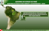 Apresentação do PowerPoint - semas.pa.gov.br · Heriberto Pena . GOVERNO DO ESTADO DO PARÁ ... primeiramente no Estado do Paraná, que consiste em uma parcela resultante da redivisão