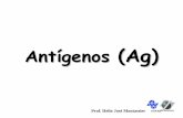 Antígenos (Ag) - Faculdade de Ciências Agrárias e ... · substância microbiana Reconhecimento VARIÁVEL & FLEXÍVEL. ... Slide 42/43 Ativação de MACRÓFAGOS Inflamatória Cel.