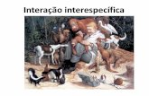 Interação interespecífica - UNESP: Câmpus de Botucatu · Tipo de interação Espécie Natureza da interação A B Mutualismo Obrigatório Facultativo + + Indivíduos das sp A