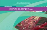 PARADIDÁTICO Recortes da caatinga: tesouros de vida do sertãomergulhandocienciasnosemiarido.weebly.com/uploads/2/5/7/1/25718193/... · comunidades do semiárido brasileiro, precisamente