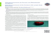 Hidradenocarcinoma do Escroto com Metastização Ganglionar ...repositorio.chlc.min-saude.pt/bitstream/10400.17/2962/1/AMP 2018... · Unidade Funcional Medicina 1.4. Hospital de São