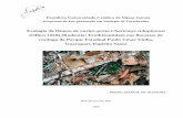 Ecologia de fêmeas de ouriço-preto Chaetomys subspinosus ...biblioteca.pucminas.br/teses/Zoologia_OliveiraPA_1.pdf · Pedro Amaral de Oliveira Ecologia de fêmeas de ouriço-preto