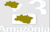 Amazônia - guascor.com.br · ssa breve descrição nos permite imaginar apenas um pedacinho de uma ... a um prédio de dez andares. No entanto, ali não existe a linearidade dos