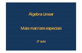 Álgebra Linear Mais matrizes especiais - mtm.ufsc.brdaniel/7105/aula_2.pdf · obter várias matrizes em escada, mas uma única matriz condensada. Definição: Posto de uma matriz