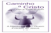 Caminho - bible-lessons.orgbible-lessons.org/languages/Portuguese/download-folders/01-Caminho... · Era um ser perfeito, e estava em harmonia com Deus. Seus pensamentos eram puros,