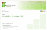 Introdução à Linguagem SQL - IFRN · localhost (SQL Server Il .0.21DO - sa) Solutionl - Microsoft SQL Server Management Studio Ban cos 8] Instant db app Report: Repo Segurança