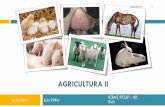 Produção Animal e vegetal - webpages.icav.up.ptwebpages.icav.up.pt/pessoas/mccunha/AGII_AP/2017/Animal/Aula 1... · Numerosos animais que, não tendo ainda fixado as suas características,