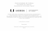 Universidade de Lisboa - repositorio.ul.ptrepositorio.ul.pt/bitstream/10451/10028/1/ulfc103207_tm_cindy... · Catedrático da Faculdade de Medicina de Lisboa e Director do Laboratório