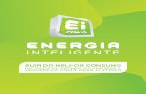 GUIA DO MELHOR CONSUMO DE ENERGIA - cemig.com.br · desperdício existente, já que ele é de quase 18% de toda a energia ge-rada no país. É como se “jogássemos no lixo”, a