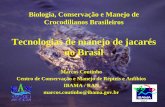 Tecnologias de manejo de jacarés no Brasil - Sistema Famato para a criacao de... · Biologia, Conservação e Manejo de ... – Muito trabalho, altos investimentos, pouco lucro ...