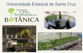 Universidade Estadual de Santa Cruz - uesc.br · sobre diferentes etapas e processos de desenvolvimento de plantas ... espécies de Mata Atlântica: mecanismos de ... Do Trabalho