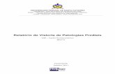 Relatório de Vistoria de Patologias Prediais - DFO/SEOMAdfo.ufsc.br/files/2011/12/RELATORIO_CSE_C_V07.pdf · • Sala sem pintura; Descrição e observações dos problemas: Na parede