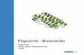 Filgastrim - Biosimilar - Hemo 2018 | De 31 de outubro a ...hemo.org.br/aulas/pdf/10-11/SIMP-CORPO/10-14H00-FELIPE-PINHO... · de segurança e eficácia para as indicações ... [Acessado