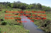 Preservação dos Recursos Hídricos da Bacia da Sanga ... · orientação da Professora Ms. Leila Limberger, da Universidade Estadual do Oeste do Paraná (UNIOESTE), ... uma vez