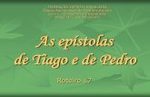 FEDERAÇÃO ESPÍRITA BRASILEIRA Estudo Aprofundado da ... · de Tiago e de Pedro Roteiro 17 FEDERAÇÃO ESPÍRITA BRASILEIRA Estudo Aprofundado da Doutrina Espírita Livro I –