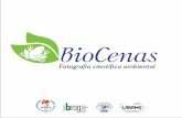 Introdução - Início · Introdução BioCenas 1 ... caracterizam os Biomas e seus ecossistemas, assim como as suas respectivas ... aos mais complexos. BioCenas