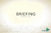 BRIEFING · modelos de briefing, nÃo existe um modelo que deva ser seguido e sim caminhos, diretrizes bÁsicas a serem adaptadas de acordo com cada projeto e empresa. ...