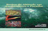 Brejos de Altitude em Pernambuco e Paraíba - mma.gov.br · Projeto de Conservação e Utilização Sustentável da Diversidade Biológica Brasileira - PROBIO ... tanto biológica
