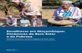 Envelhecer em Moçambique: Dinâmicas do Bem-Estar e da … · Envelhecer em Moçambique: Dinâmicas do Bem-Estar e da Pobreza | iii Índice Agradecimentos iv Lista das figuras e