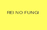 REINO FUNGIbiologia3/fungi.pdf · lhe os nutrientes minerais de que necessita para a fotossíntese e protege-a ... o mundo que formam endomicorrizas com os ... após o que envolvem
