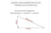 RAZÕES TRIGONOMÉTRICAS NO TRIÂNGULO RETÂNGULO … · RAZÕES TRIGONOMÉTRICAS NO TRIÂNGULO RETÂNGULO Teorema de Pitágoras Hipotenusa2 = cateto2 + cateto2 o cateto