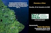 EVENTO PREPARATÓRIO DA 21ª Florestas e Clima … · Florestas e Clima Brasília, ... Source: PRODES (INPE) and PPM, PAM (IBGE) ... Secas de 2005-2010 resultaram em 5 bilhões de